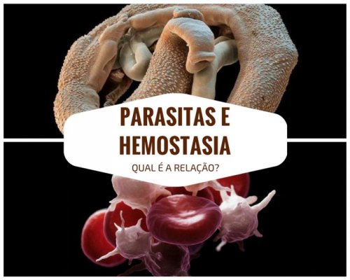 Parasitose e Hemostasia
